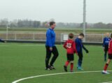 S.K.N.W.K. JO11-1JM - Yerseke JO11-1 (competitie) seizoen 2022-2023 (najaar - 2e fase)) (22/107)